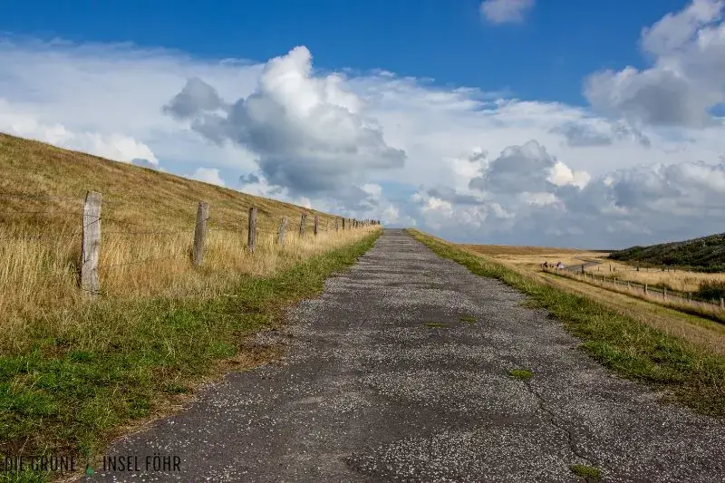 Ein Fahrradtour-Weg durch die Dünen auf Föhr.