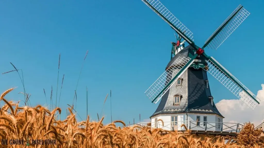 Die Mühle auf Föhr zählt zu den bekanntesten Insider Tipps.