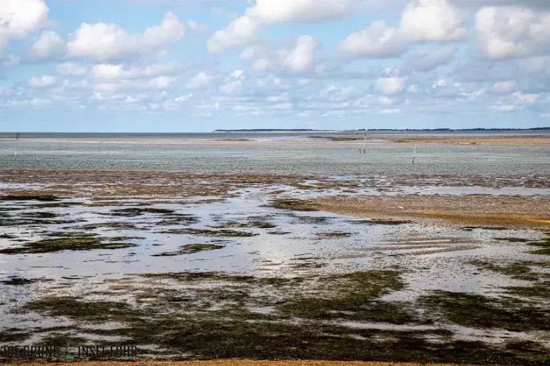 Eine Wanderung durch das Watt auf Föhr.