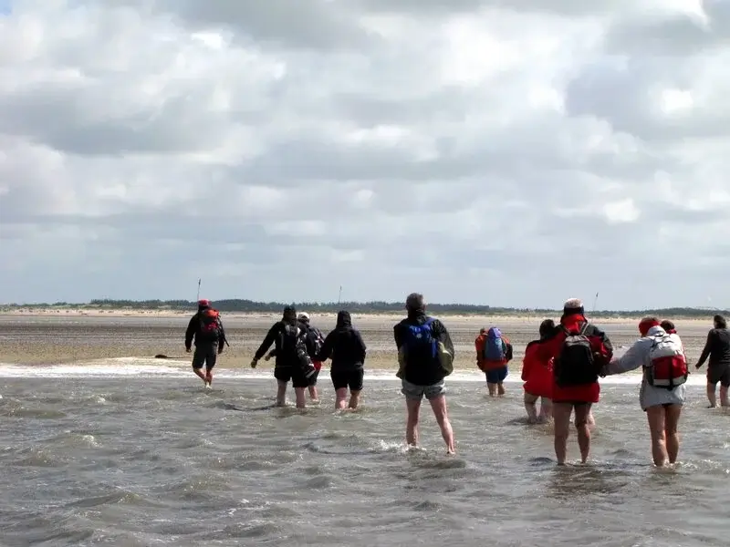 Wattwanderung von Föhr nach Amrum.