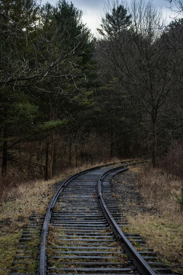 Scenic railway mit der Bahn nach Sylt entlang malerischer Landschaften.