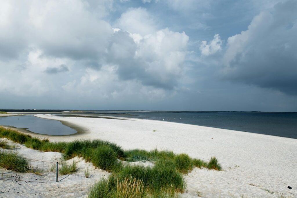 Nordmarsch Langeneß Nordseeinsel Landschaft