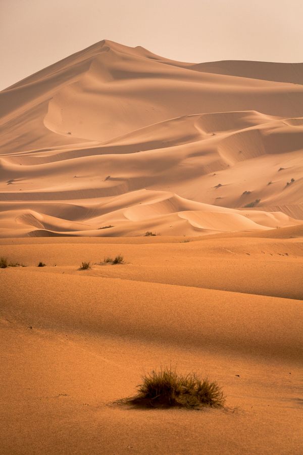 Sanddünen als Sehenswürdigkeiten auf Sylt.