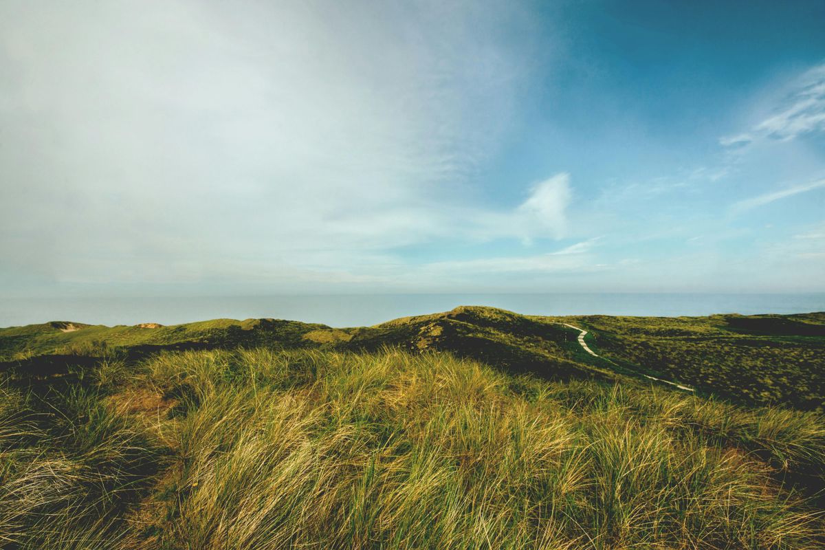 Sylt-Landschaft mit Bezug zu Alexander Bommes Sylt