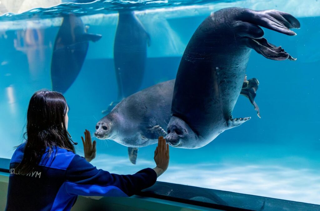 Ocean Exhibit im Sylt Aquarium, Sylt Aquarium Erfahrungen.