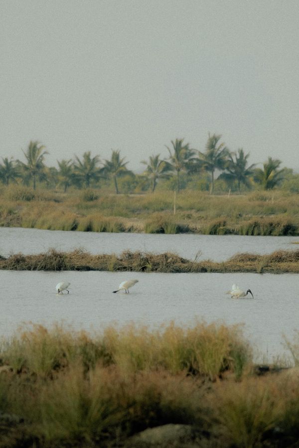 Naturreservat Helgoland Düne gesperrt mit malerischer Landschaft.