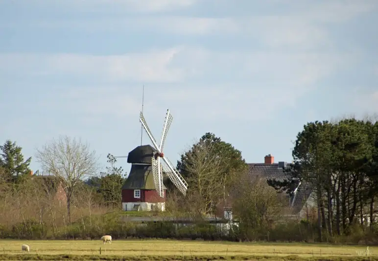 Süddorf Amrum.
