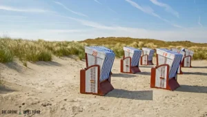 Sanddünen mit Strandkörben auf Norderney.