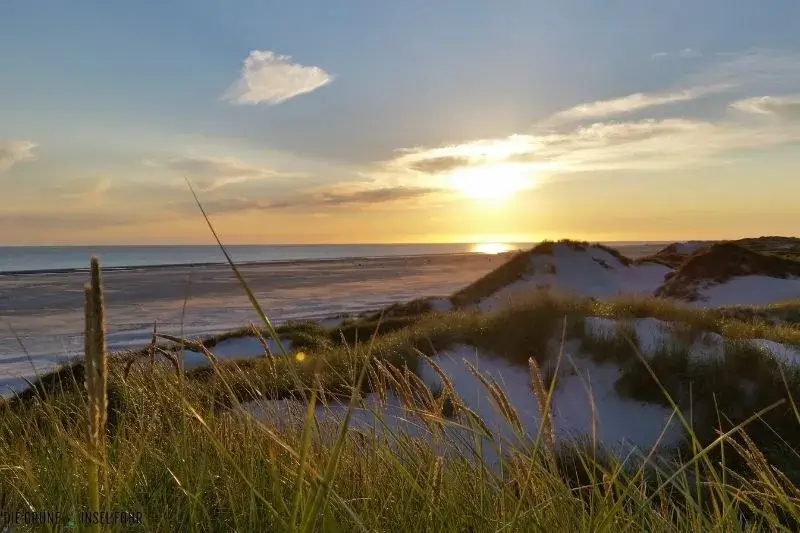 Sanddünen beim Sonnenuntergang auf Amrum.