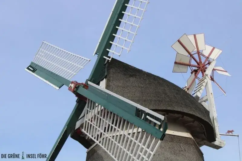 Die Windmühle Selden Rüst ist eine Sehenswürdikgeit Norderneys.
