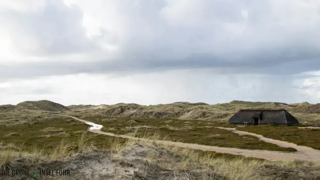 Der grüne Krümwal auf Amrum.