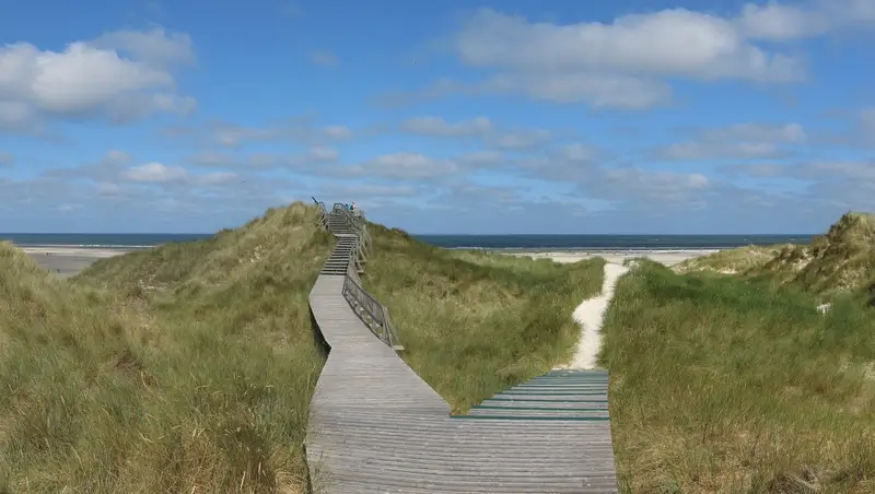 Einen Dünenweg direkt am Meer bei Norddorf.