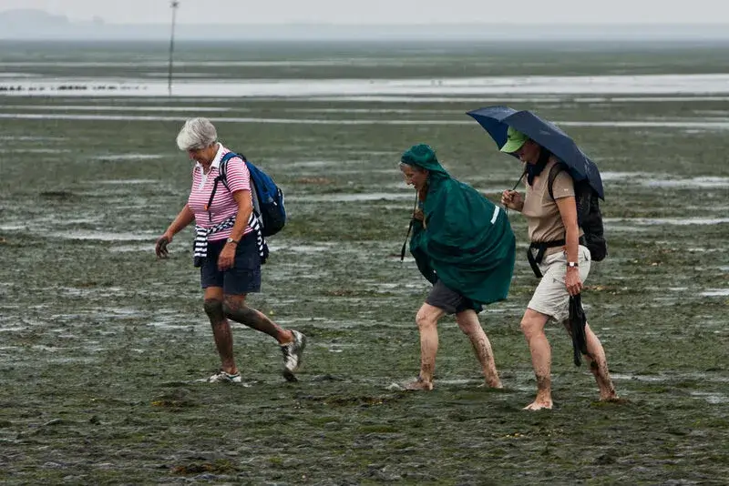 3 Menschen wandern durch das Watt in der Nordsee.